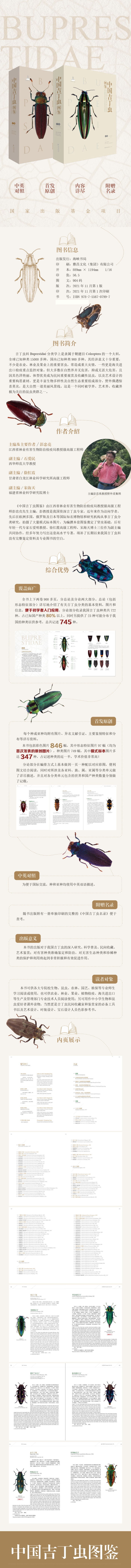 中国吉丁虫図鑑（全2冊）